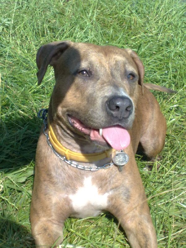 Foto: Vymaz�no !-[R]Zpr�va byla vymaz�na[/R] .. v : ()