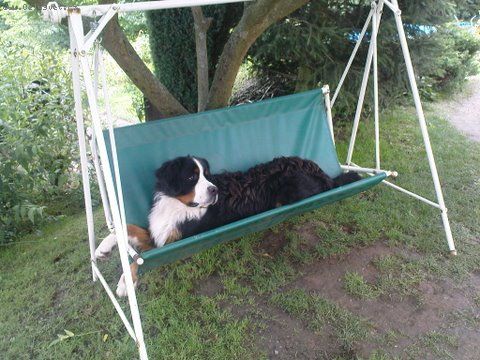 Foto: -tTo je to na�e zlobidlo, kter� po��d ut�k�.