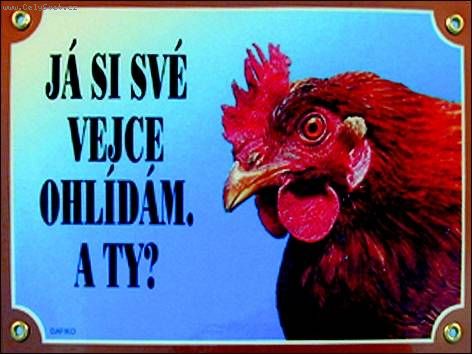 Foto: -[citace]martakaba # vy�e��m to jinak... [/citace]u� se boj�m,a� sem cel� op