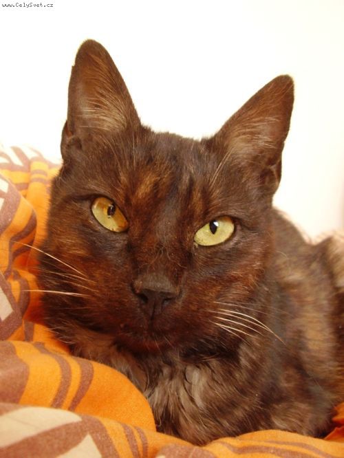 Foto: Vymaz�no !-[R]Zpr�va byla vymaz�na[/R] .. v : ()