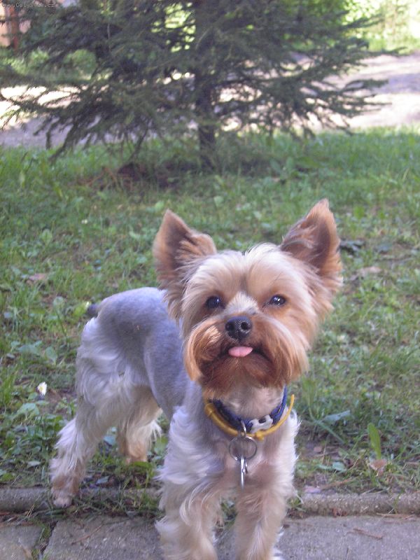 Foto: Sni�ov�n� v�hy-Dobr� den, m�me t��let�ho kluka, kter� loni musel ze zdravotn�ch d�vod� pod