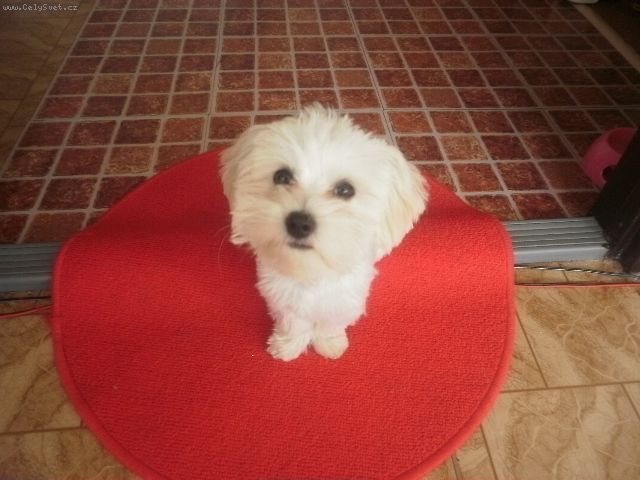 Foto: Vymaz�no !-[R]Zpr�va byla vymaz�na[/R] .. v : ()