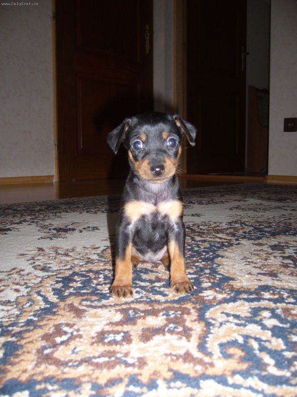 Foto: Vymaz�no !-[R]Zpr�va byla vymaz�na[/R] .. v : ()