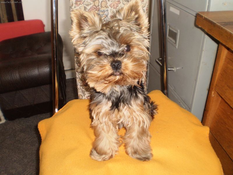 Foto: -Ji� jsem byla od za��tku registrovan� pod nikem KockaH a te� zji��uji, �e 