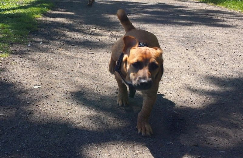 Foto: -Zde je druh�. . 