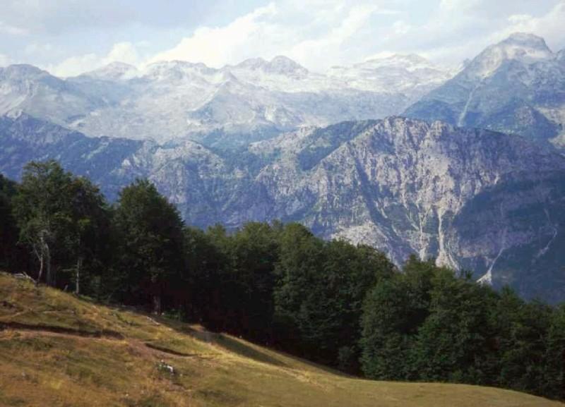 Fotky: Alb�nie (foto, obrazky)