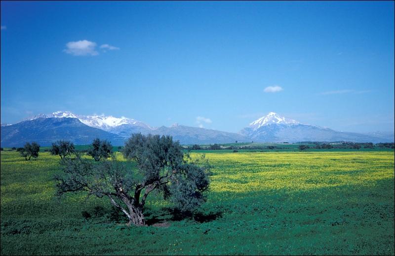 Fotky: Al��rsko (foto, obrazky)