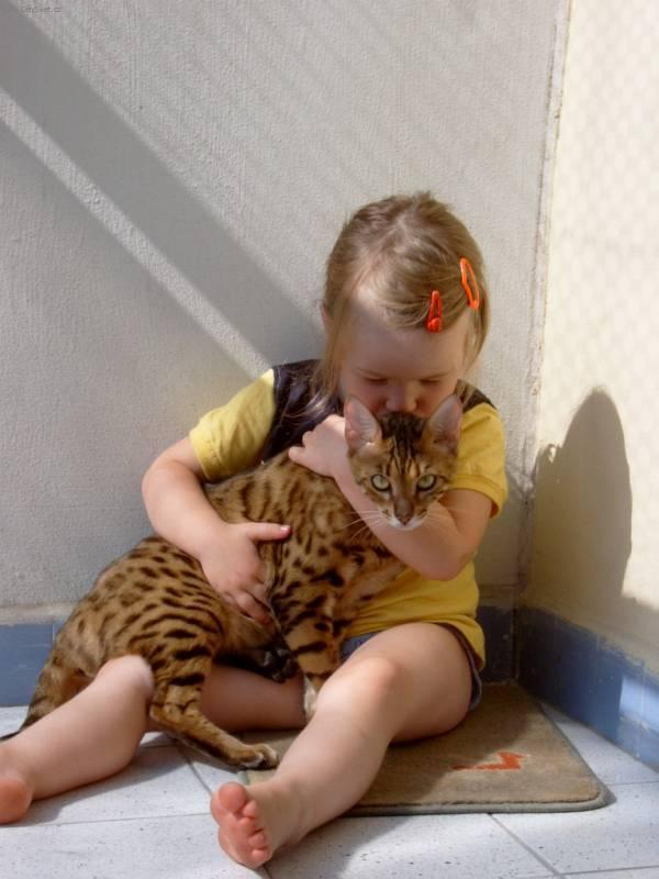 Foto: Beng�lsk� ko�ka, leopard� ko�ka-Chovatelka a majitelka: Iva Barto�ov� (Lynx Land)