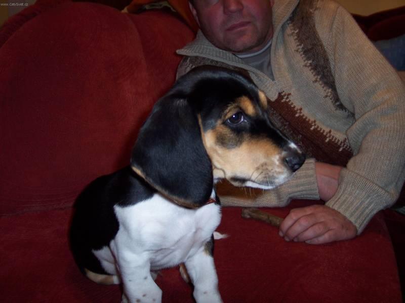 Fotky: B�gl (foto, obrazky)