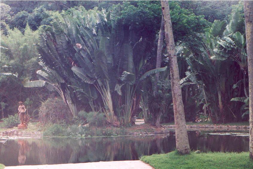 Fotky: Braz�lie (cestopis) (foto, obrazky)