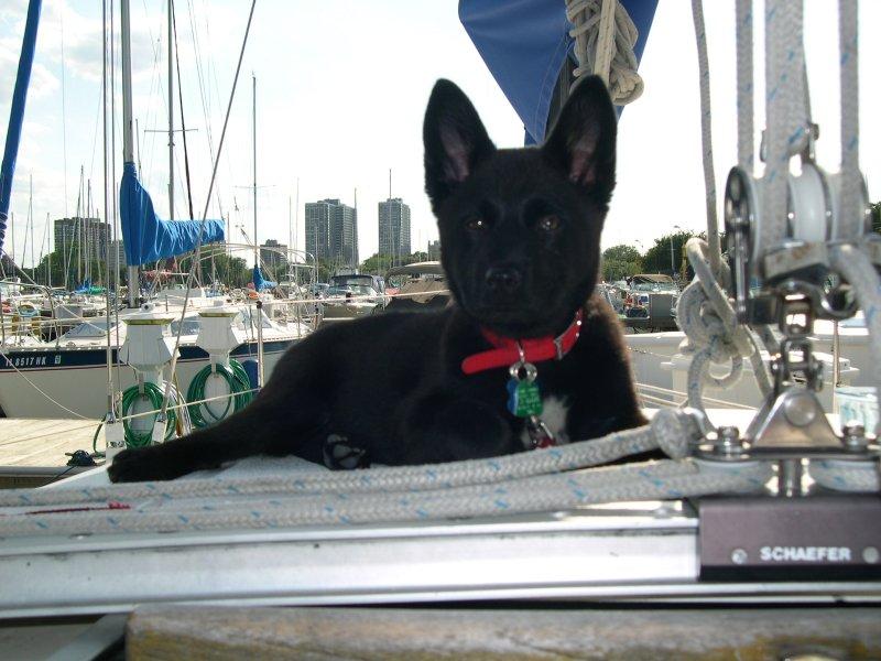 Foto: Dovolen� s pejskem, zahrani��