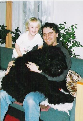 Fotky: Flandersk� bouvier (foto, obrazky)