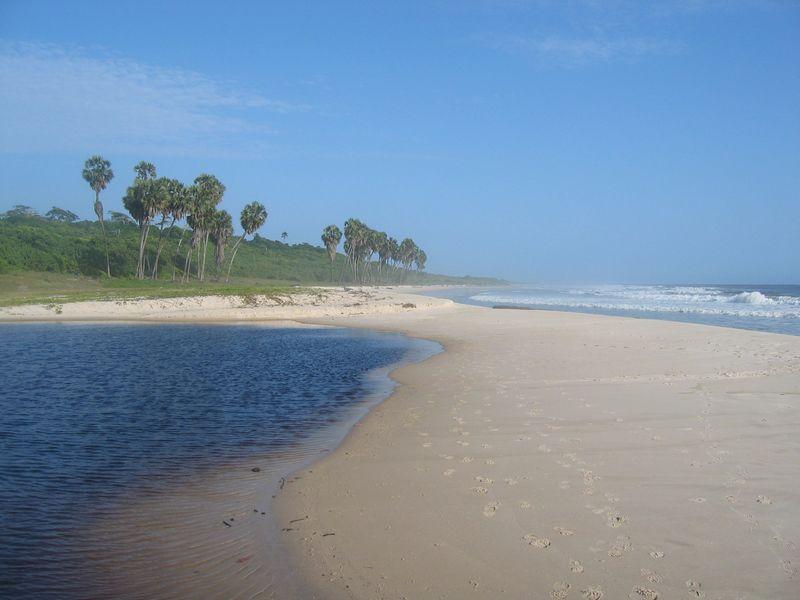 Fotky: Gabon � Gabun (foto, obrazky)