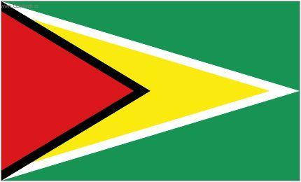 Foto: Guyana-st�tn� vlajka