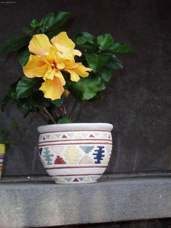 Foto: Ibi�ek ��nsk�-Pestitelka: Mayda