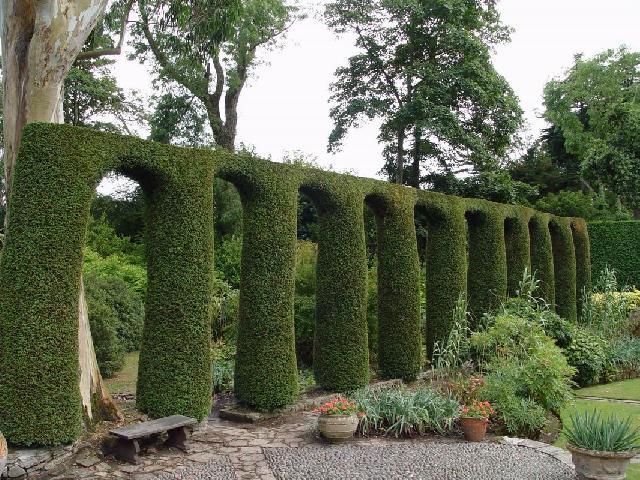 Foto: Irsko-MOUNT STEWART. Severni Irsko je krasne !!! Helena