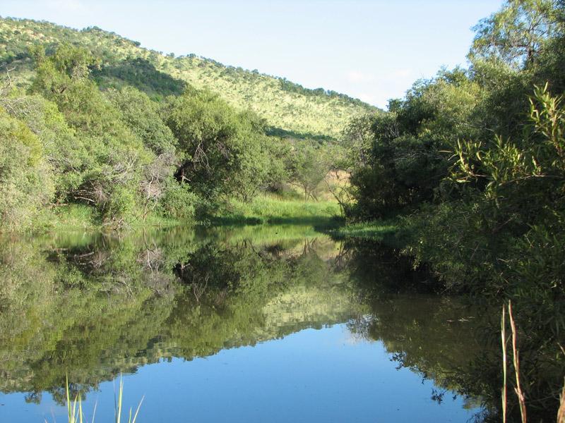 Fotky: Jihoafrick� republika (foto, obrazky)