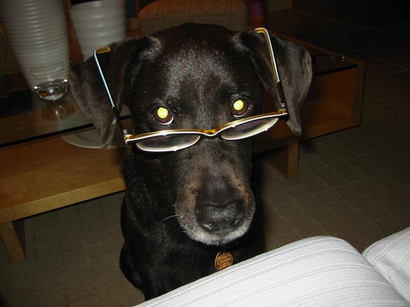 Foto: Kastrace - ano �i ne?