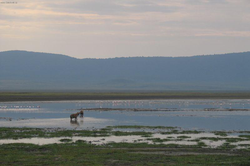 Fotky: Ke�a (cestopis) (foto, obrazky)