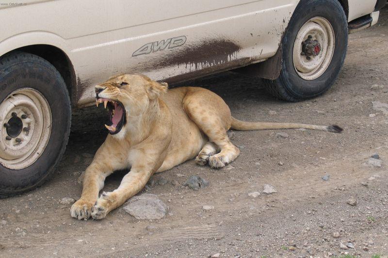 Fotky: Ke�a (cestopis) (foto, obrazky)