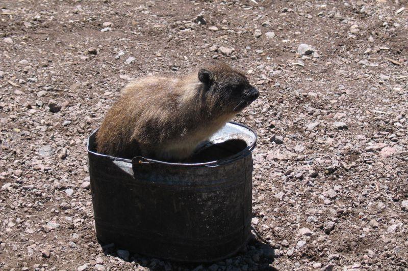 Fotky: Ke�a (cestopis) (foto, obrazky)