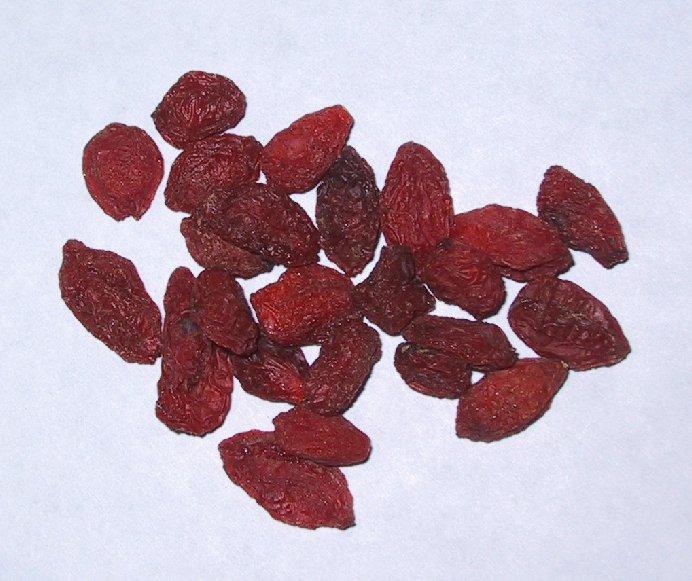 Fotky: Kustovnice Ciz� (foto, obrazky)