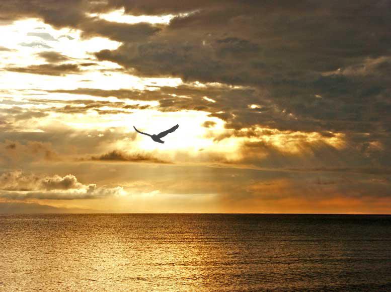 Fotky: Kyrgyzst�n (foto, obrazky)