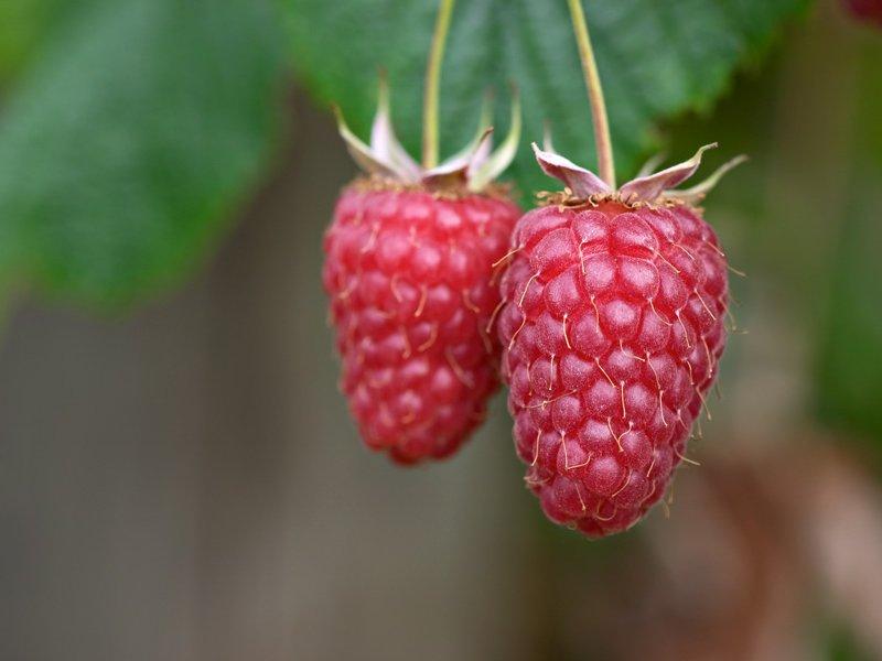 Foto: Malin�k Obecn�