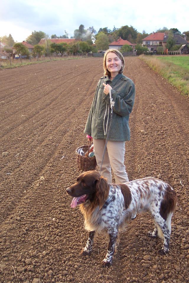 Fotky: N�meck� dlouhosrst� oha� (foto, obrazky)