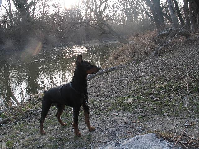 Fotky: N�meck� pin� (foto, obrazky)