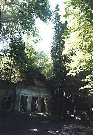 Fotky: Nov� Hrady (foto, obrazky)