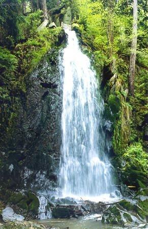 Fotky: Nov� Hrady (foto, obrazky)