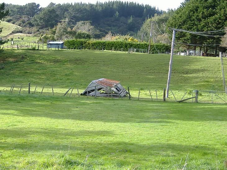 Fotky: Nov� Z�land (foto, obrazky)