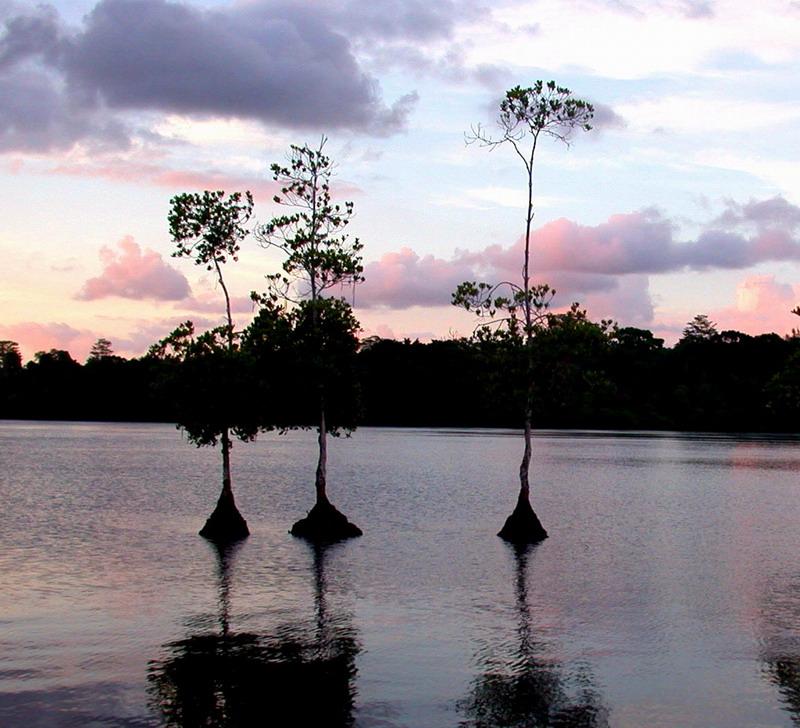 Fotky: Papua-Nov� Guinea (foto, obrazky)