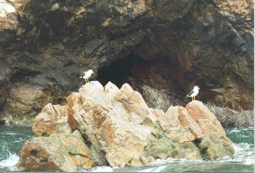 Foto: Peru-Islas Ballestas