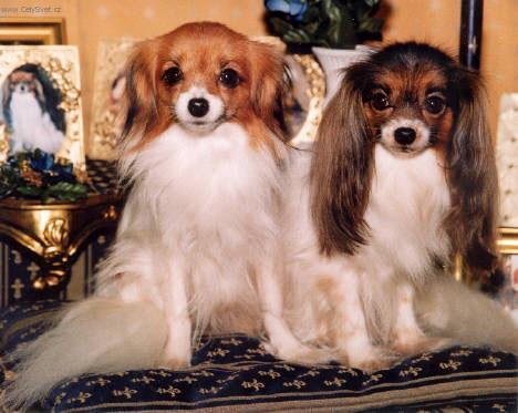 Foto: Phal�ne-Majitelka: Barto�ov� Eva