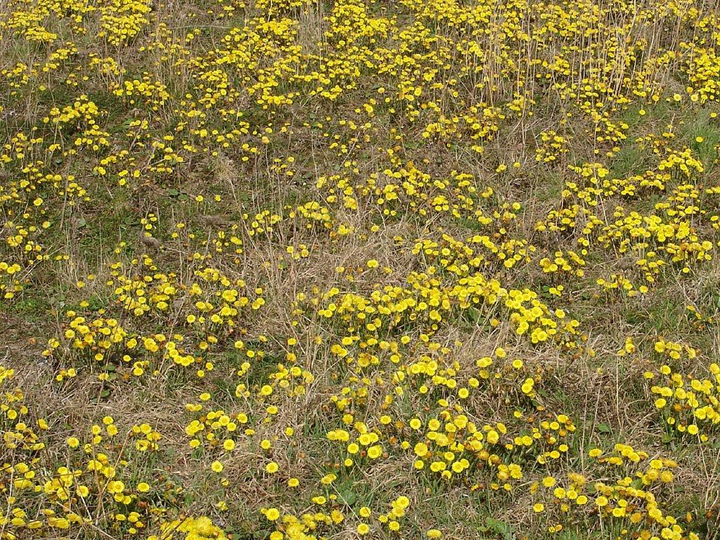 Foto: Podb�l L�ka�sk�