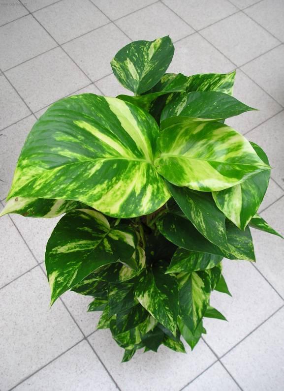 Foto: Potos-Z vlastn� sb�rky