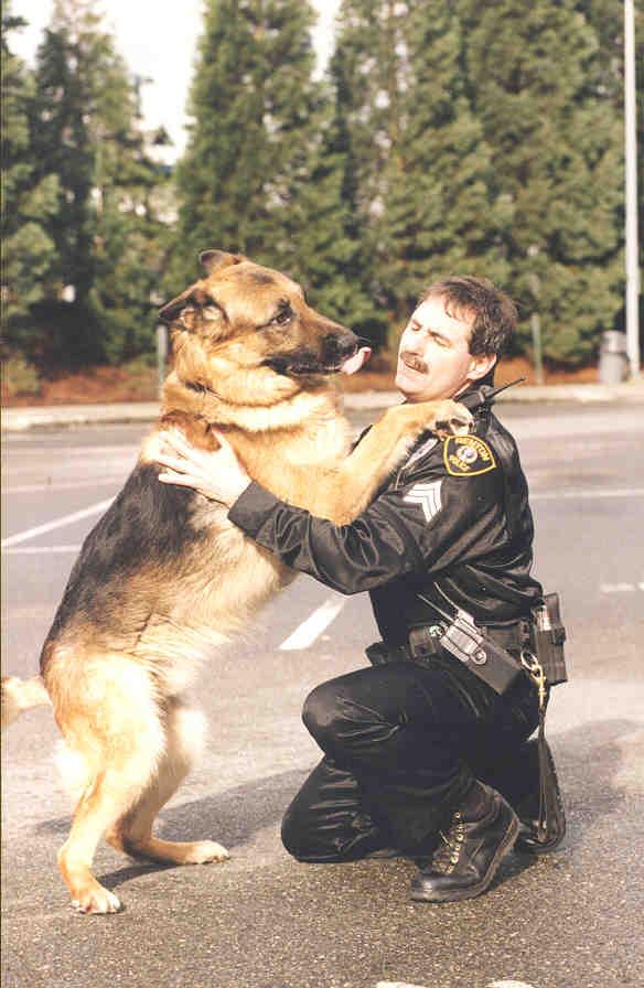 Foto: Potrest�n� pejska