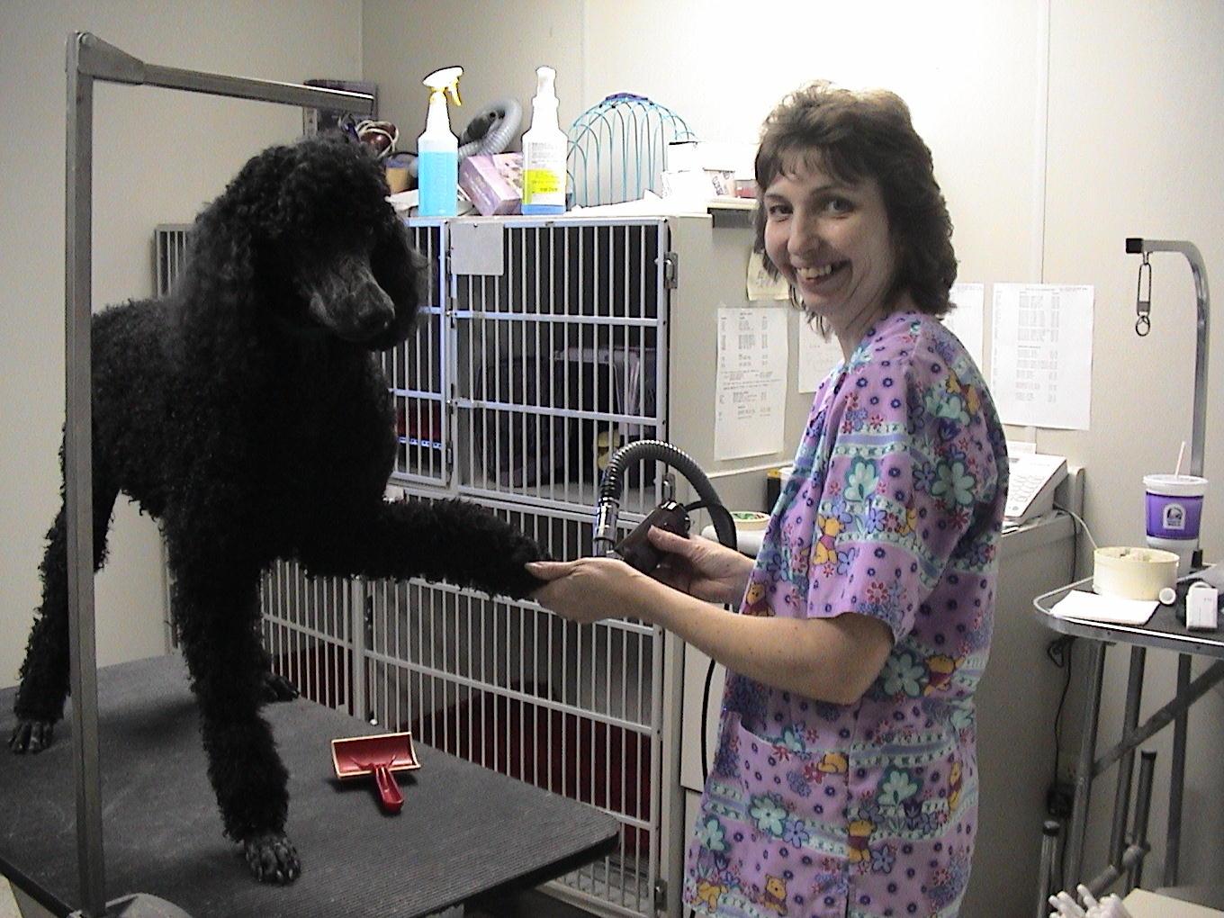 Foto: Prevence nemoc� ps�