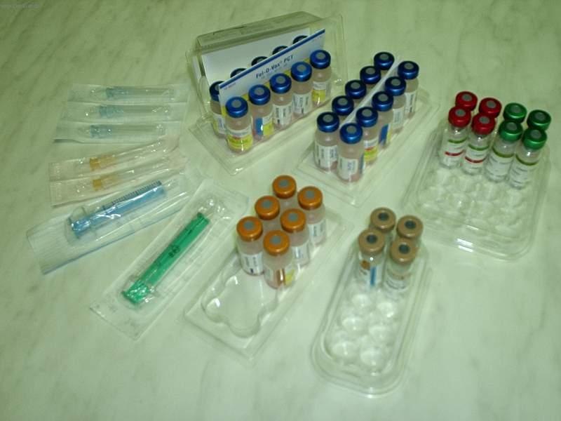 Foto: Pro� o�kovat ko�ky a proti �emu