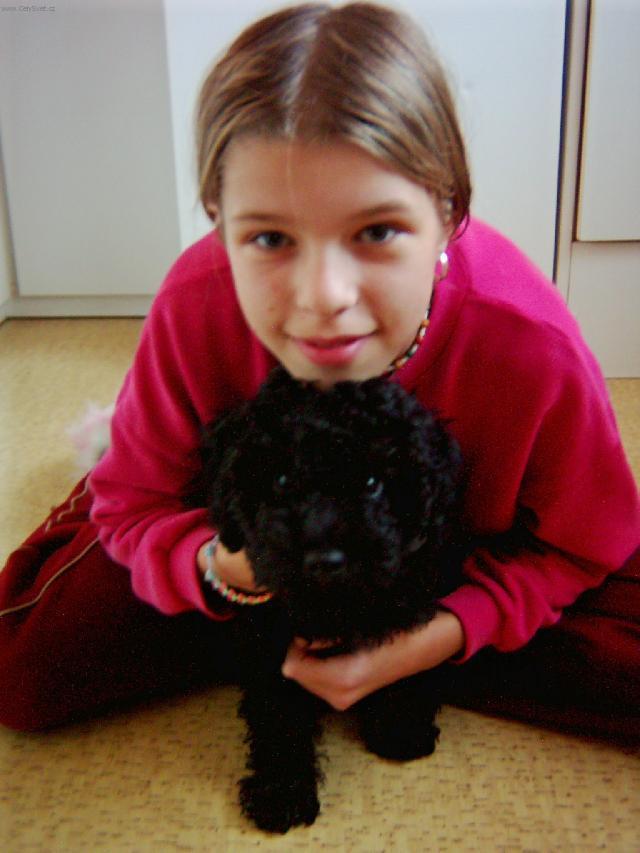 Foto: Pudl-Psichika. Majitelka: Klara