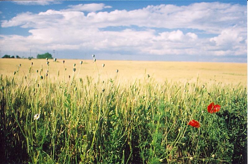 Foto: Rumunsko-Stancuta