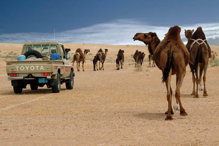 Foto: Sa�dsk� Ar�bie