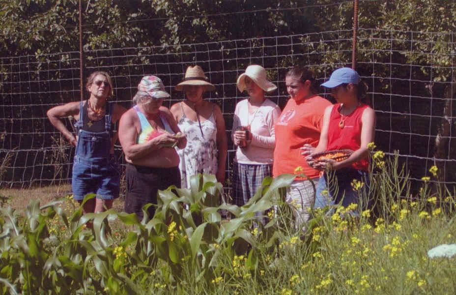 Foto: Sb�r l��iv�ch rostlin