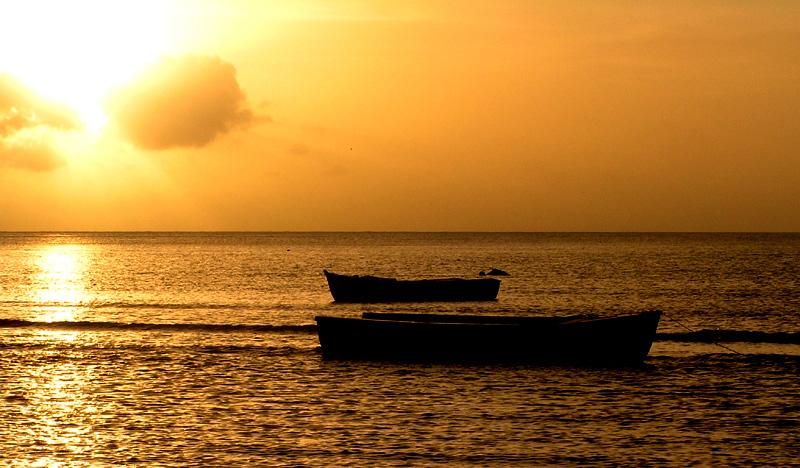 Foto: Seychely-Grand Anse Praslin
