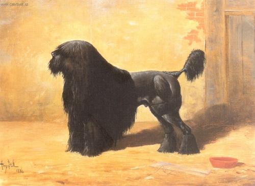 Foto: ���rov� pudl-Obraz: Henry Stull 1886 rok