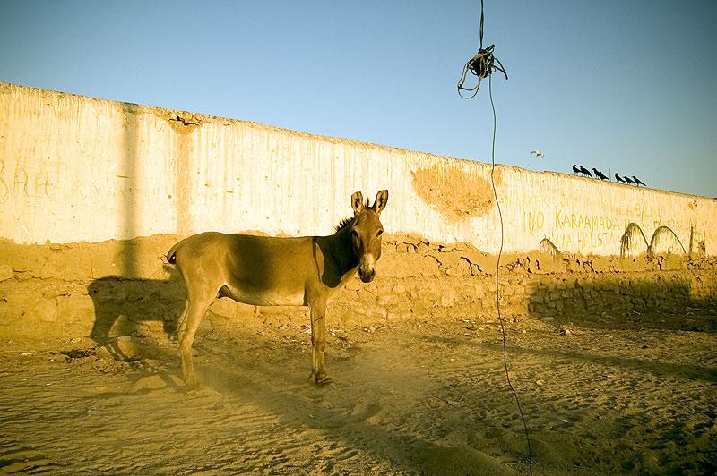 Fotky: Som�lsko (foto, obrazky)