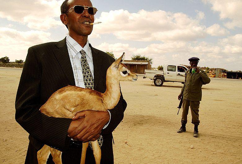 Fotky: Som�lsko (foto, obrazky)