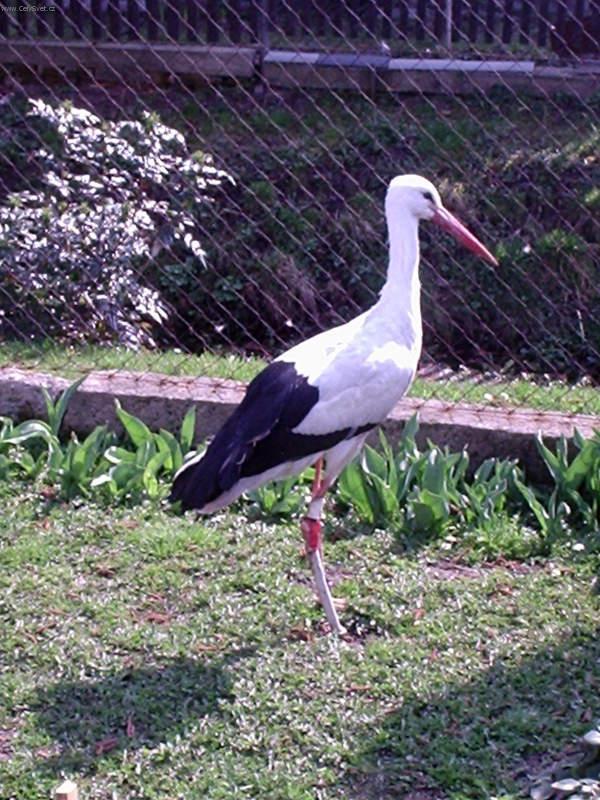 Foto: Stanice pro hendikepovan� �ivo�ichy